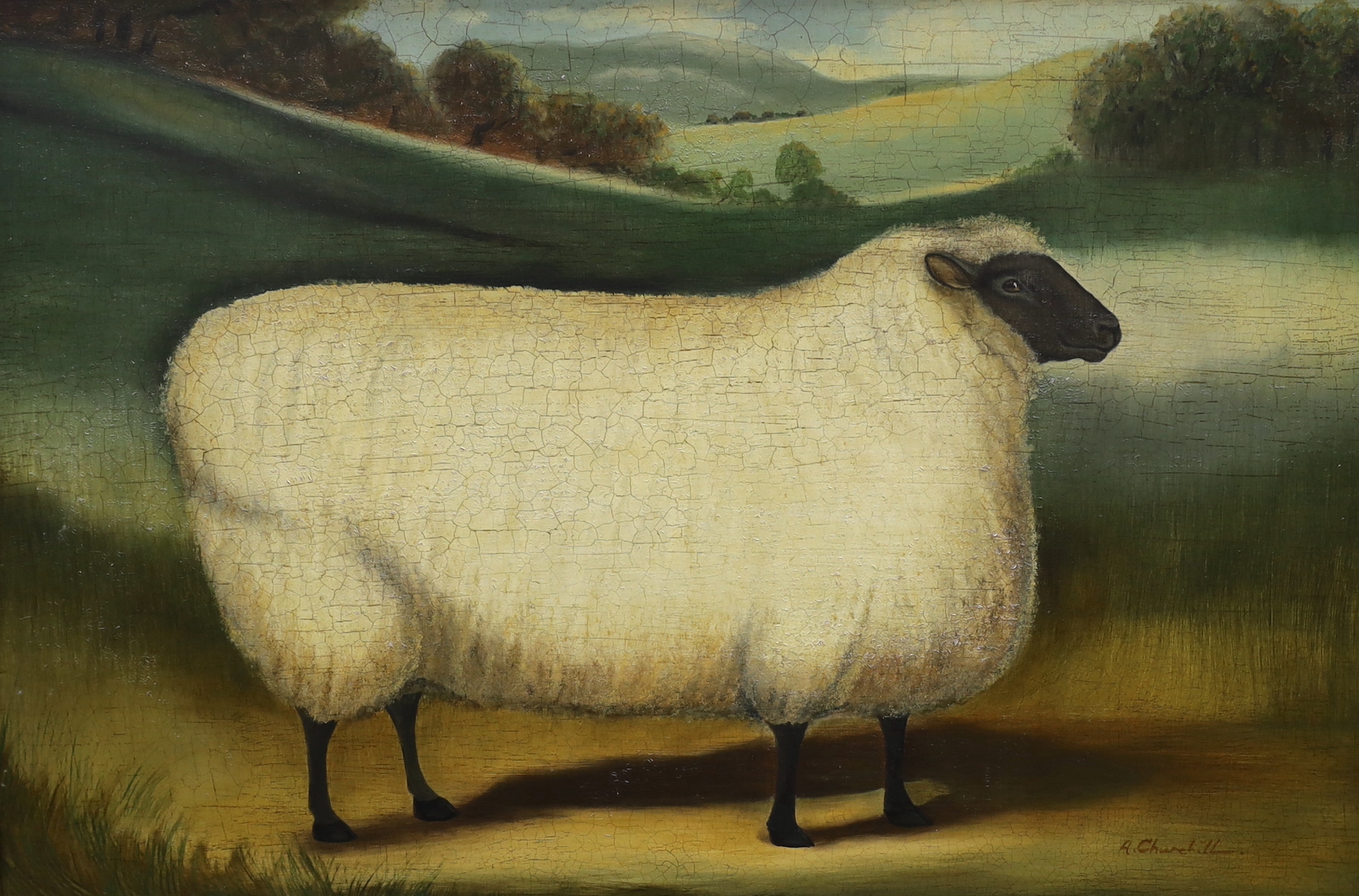 Alexandra Churchill (Contemporary), naive oil on board, 'A Cotswold sheep', signed, provenance details verso, 39 x 59cm